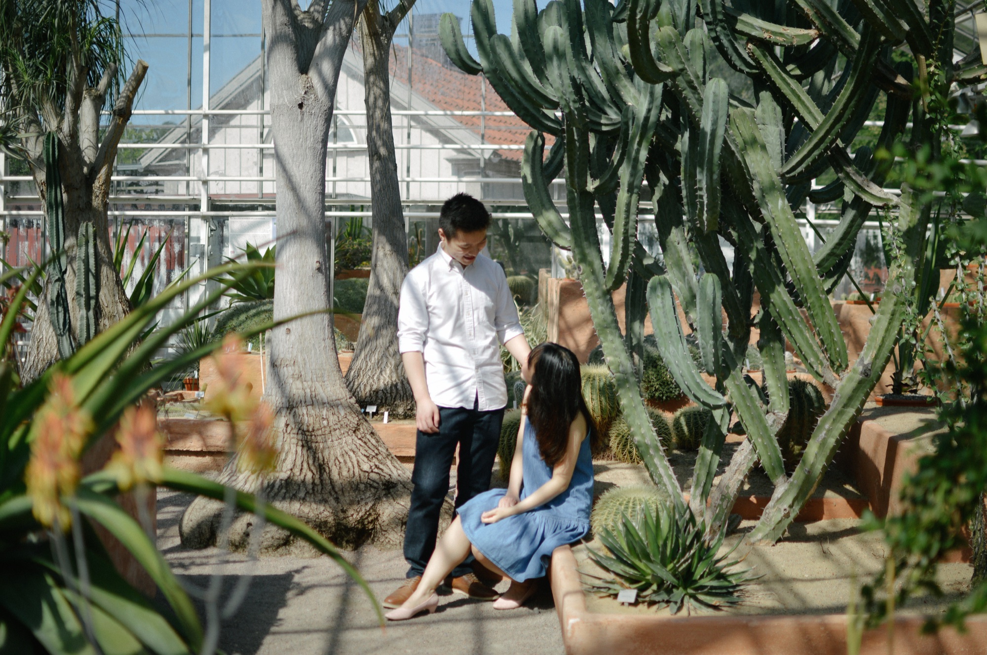 A couple sitting among cacti in a greenhouse